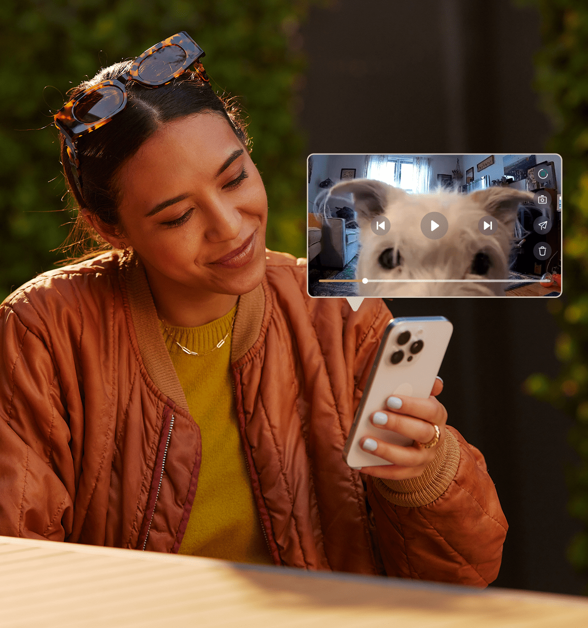 Petlibro Video Cloud AI