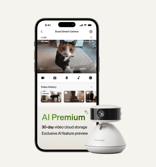 Petlibro Video Cloud AI