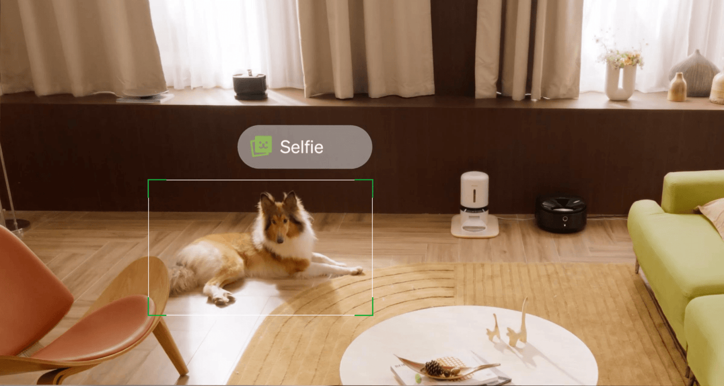 Petlibro Video Cloud AI